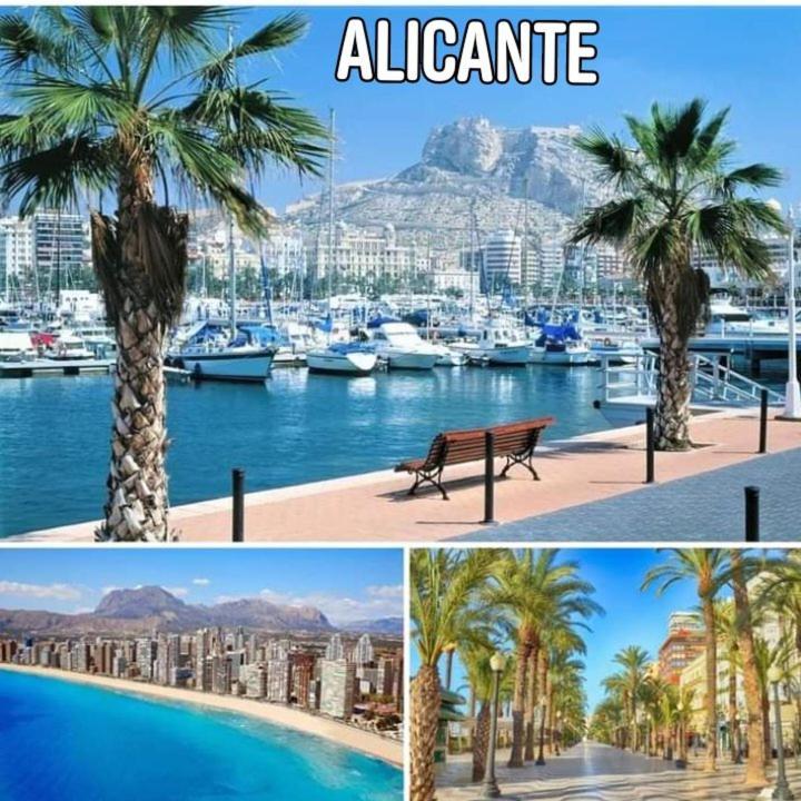 Appartamento Magic - Alicante